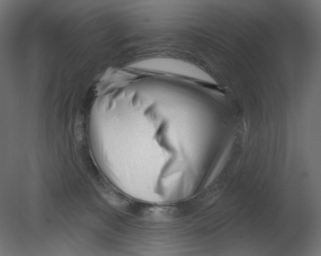 X0000080740323200701121943