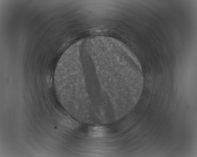 X0000080740324200701121943