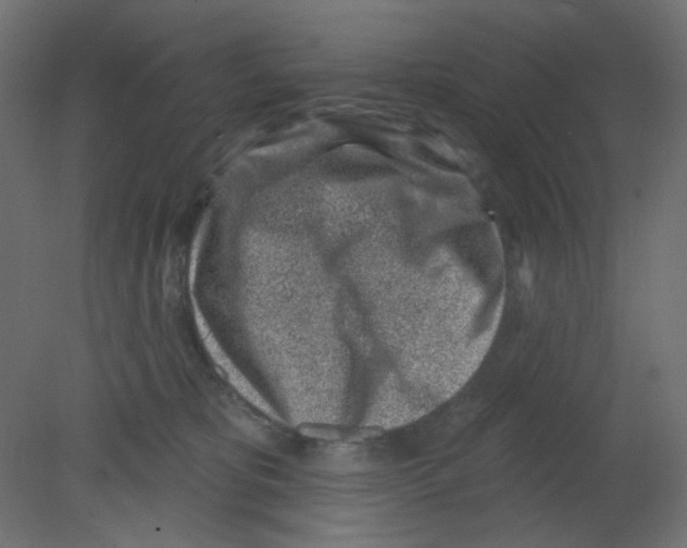 X0000080740325200701121943