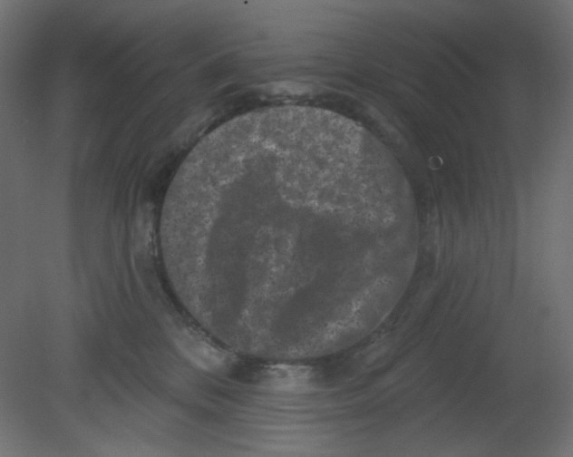 X0000080740328200701121943