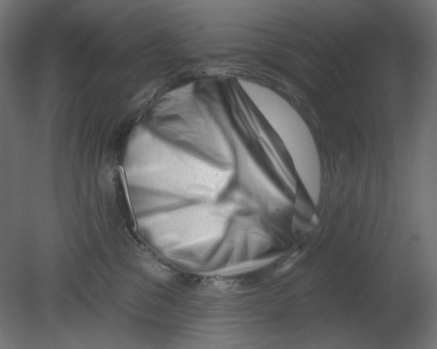 X0000080740329200701121943