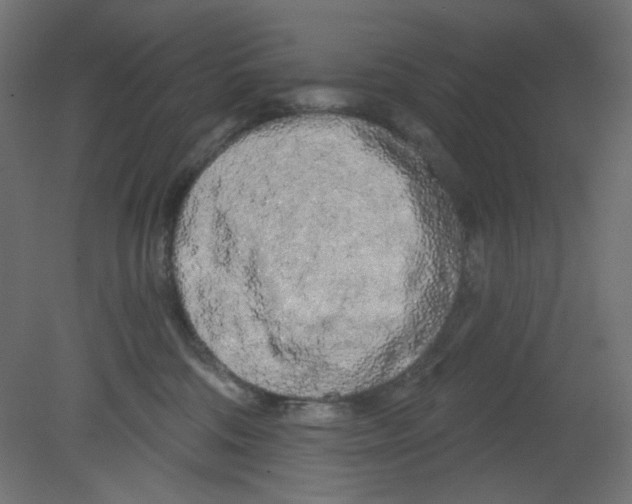 X0000080740330200701121943