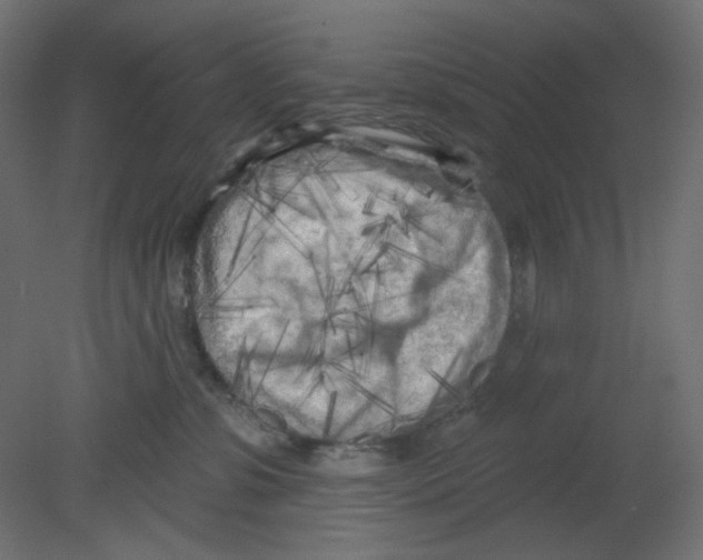 X0000080740331200701121943