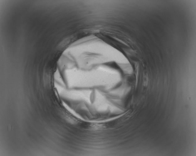 X0000080740333200701121943