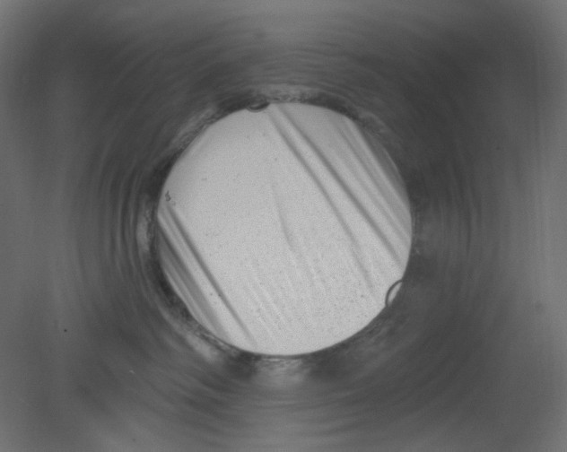 X0000080740334200701121943