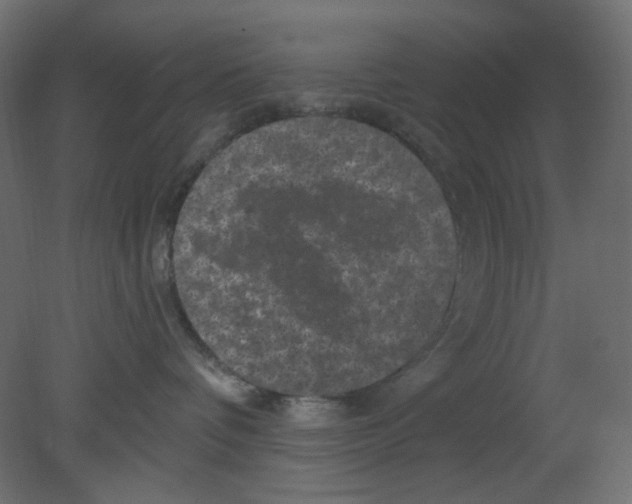 X0000080740336200701121943