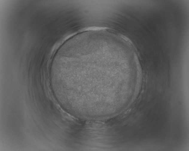 X0000080740337200701121942