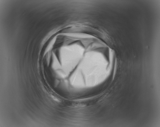 X0000080740340200701121942