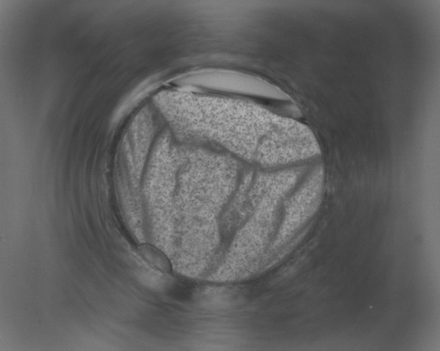 X0000080740341200701121942