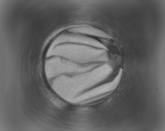 X0000080740342200701121942