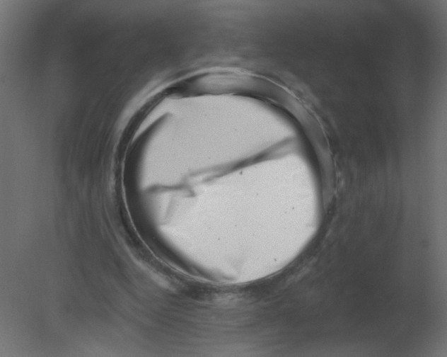 X0000080740344200701121942