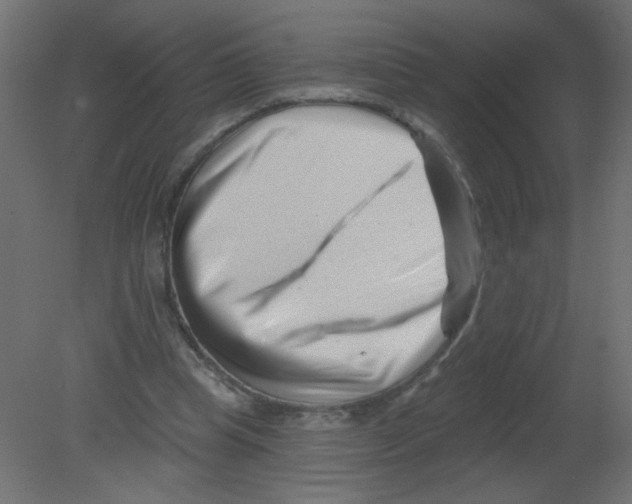 X0000080740345200701121942