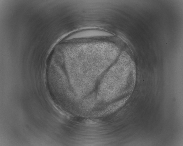 X0000080740346200701121942