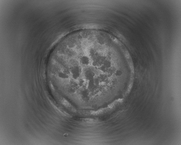 X0000080740347200701121942