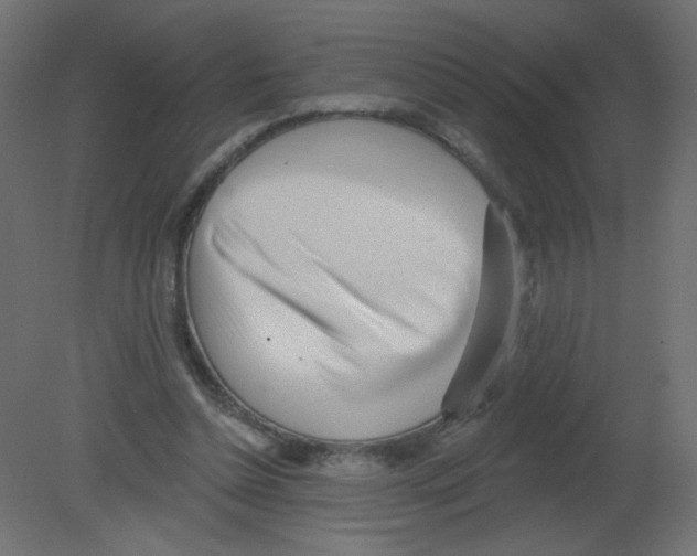 X0000080740348200701121942