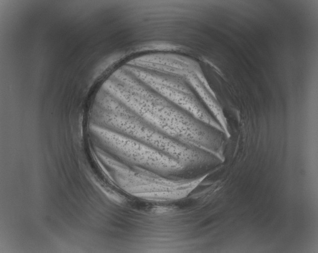 X0000080740350200701121942