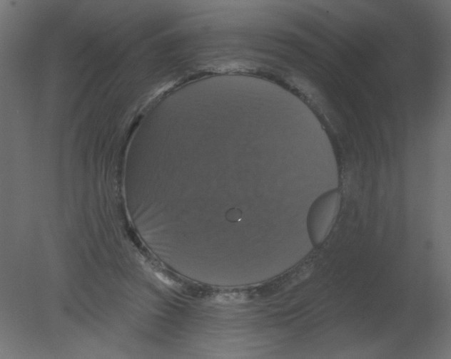 X0000080740353200701121942