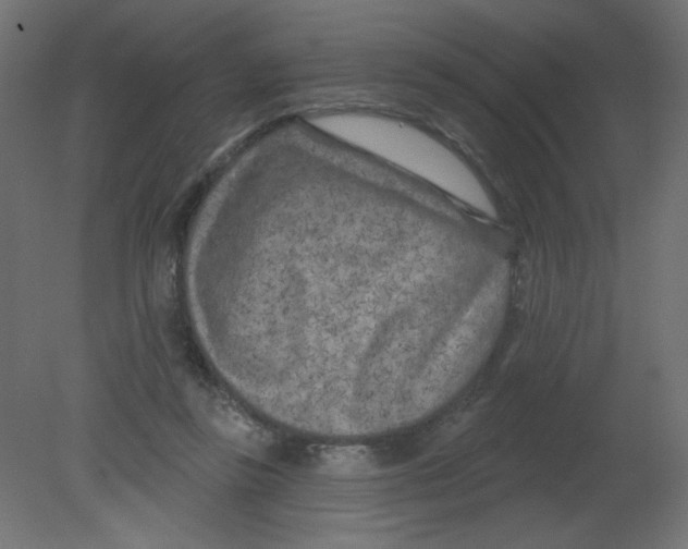 X0000080740355200701121943