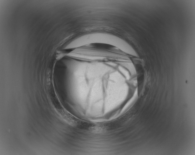 X0000080740356200701121943