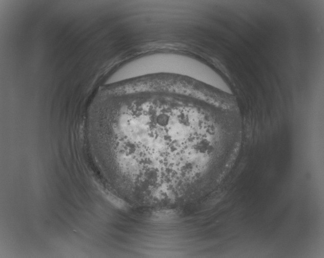 X0000080740357200701121943