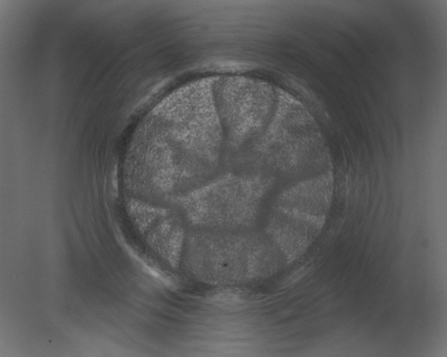 X0000080740358200701121943