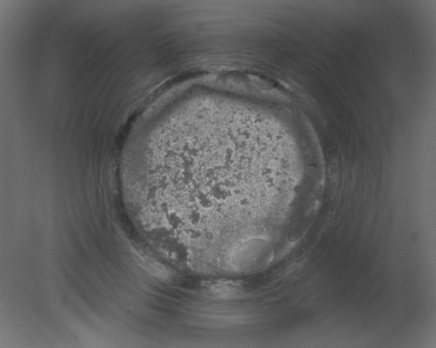 X0000080740359200701121943