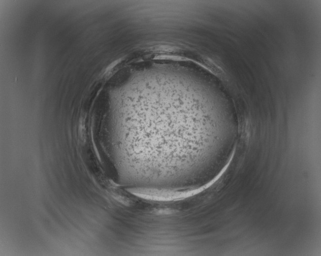 X0000080740360200701121943