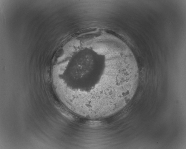 X0000080740361200701121943