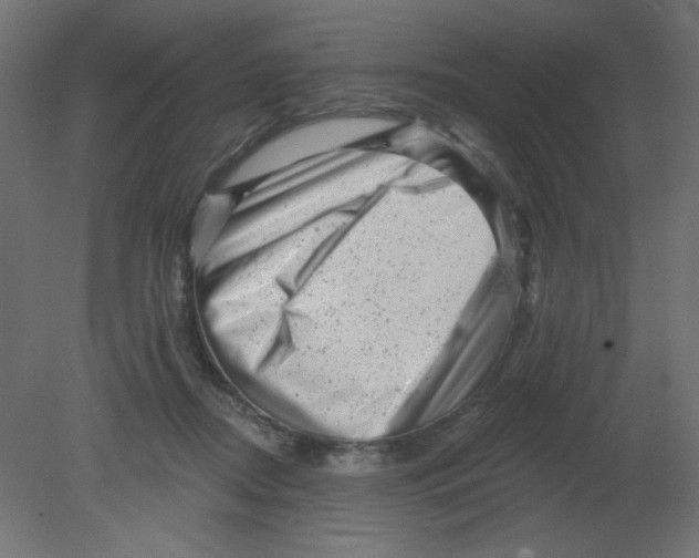 X0000080740362200701121943