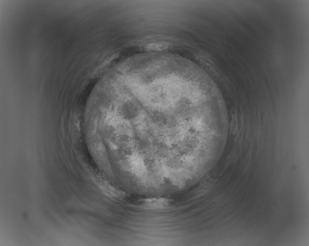 X0000080740363200701121943