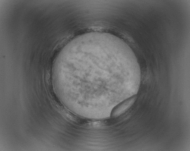 X0000080740365200701121943