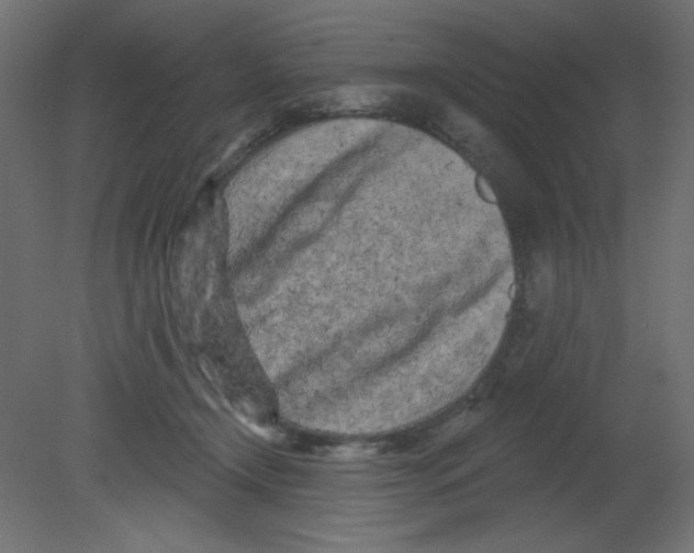 X0000080740366200701121943