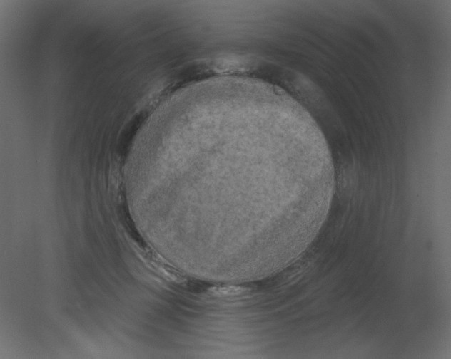 X0000080740367200701121943