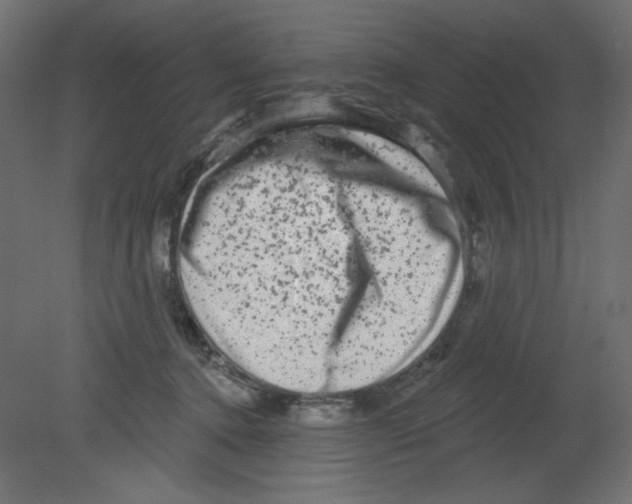 X0000080740368200701121943