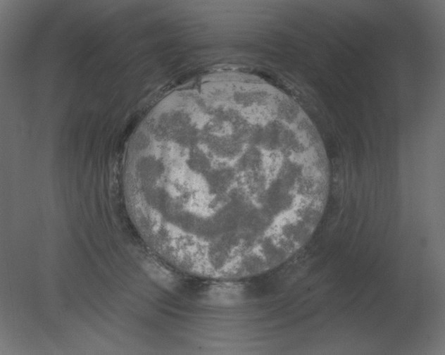 X0000080740369200701121943