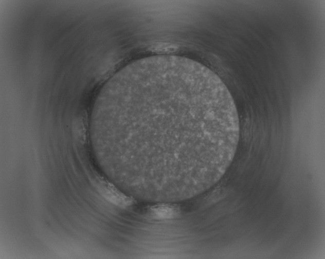 X0000080740370200701121943