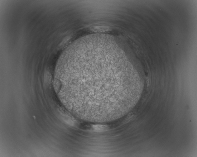 X0000080740371200701121943