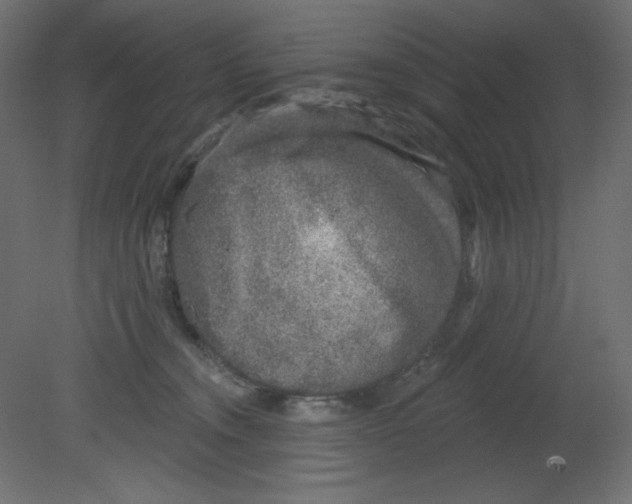 X0000080740372200701121943