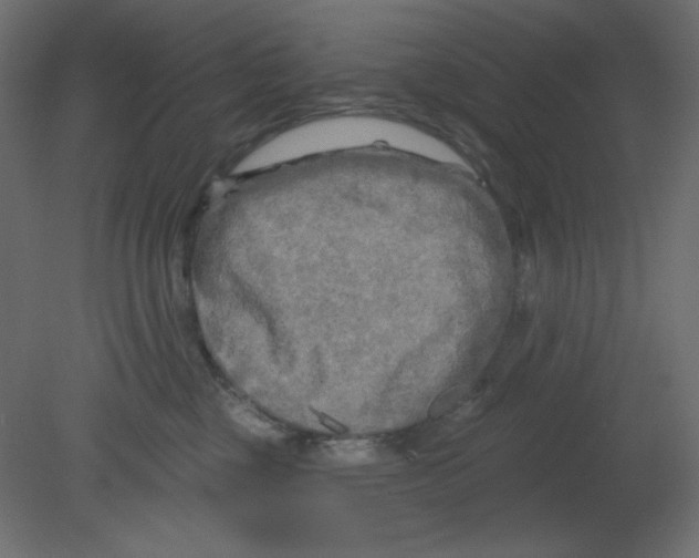 X0000080740377200701121943