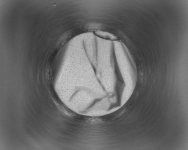 X0000080740379200701121943