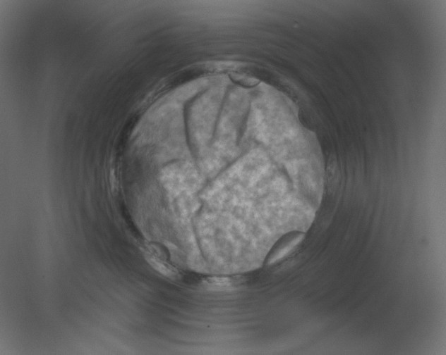 X0000080740381200701121943