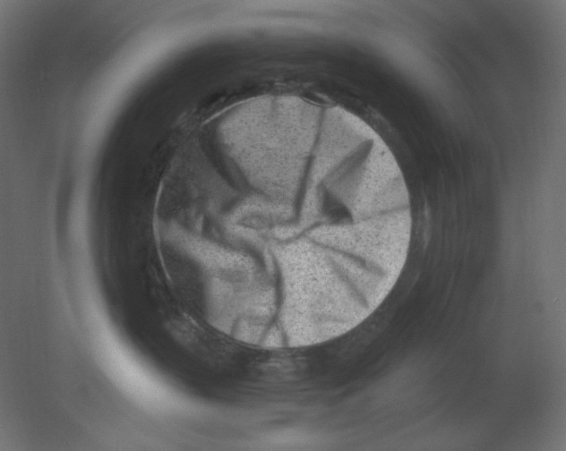 X0000080740383200701121943