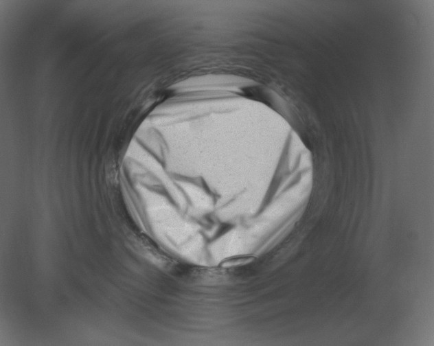 X0000080740384200701121943