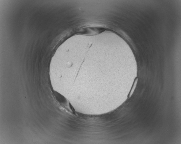 X0000080740385200701121942