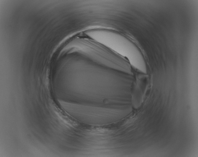 X0000080740387200701121942