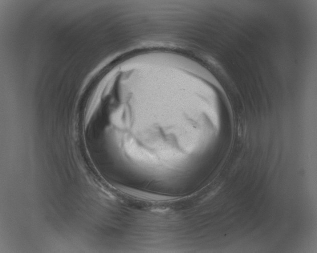 X0000080740388200701121942