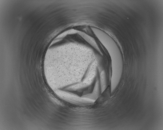 X0000080740389200701121942