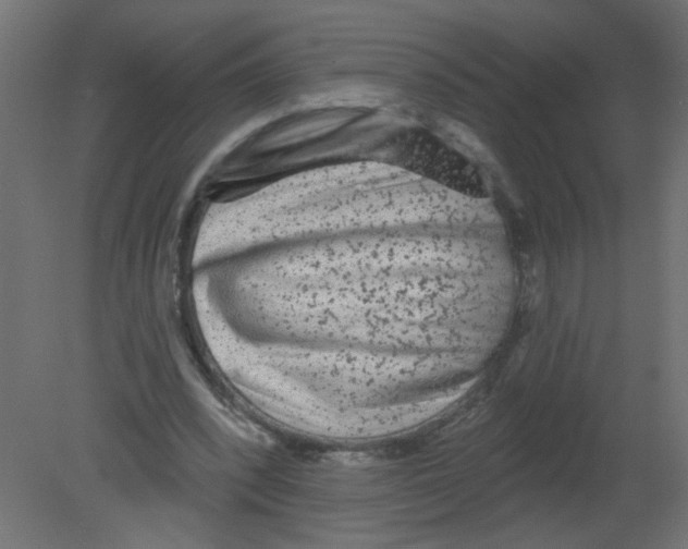 X0000080740392200701121942