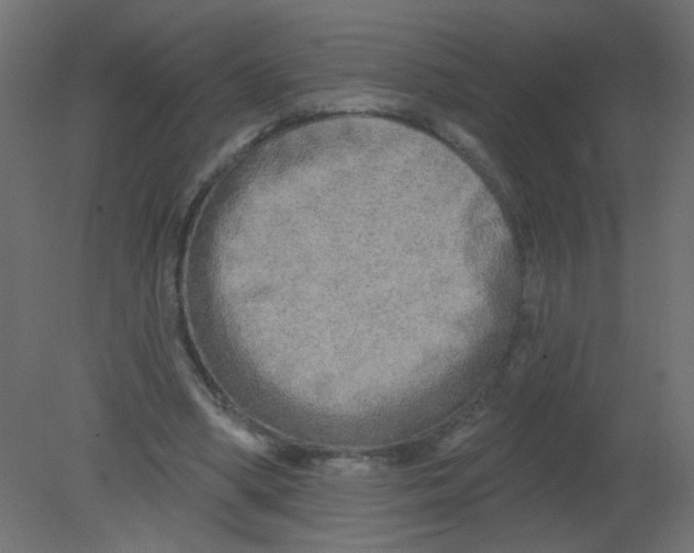 X0000080740394200701121942