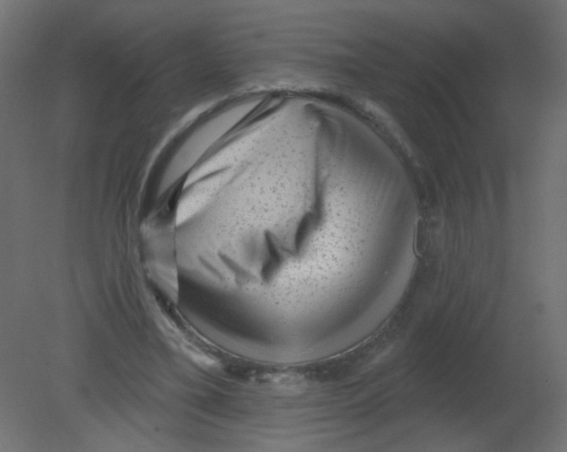 X0000080740395200701121942